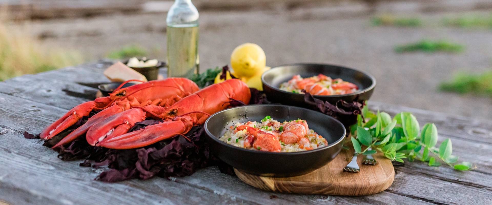 Discover New Brunswick: Learn, taste & experience 